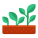 plante en croissance icon