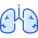 Lungs icon