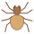 Aranha icon