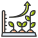 Growth Report icon