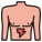 Stomach icon