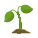 Seedling icon