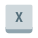 x键 icon