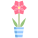 Amaryllis icon