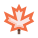 Maple leaf icon