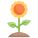 Floral icon