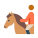 Equestrian Skin Type 4 icon