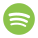 Spotify icon