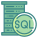 Sql Server icon