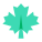 Maple Leaf icon