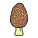 Morel Mushroom icon