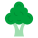 Brocoli icon