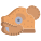 Ocelotl icon