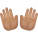 mains ouvertes-peau-moyenne icon