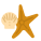 Estrella de mar icon