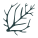 Seaweed icon