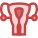 Útero icon