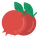 Pomegranate icon