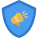 shield icon