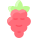 Frambuesa icon