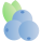 Blue berry icon