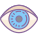 Eye icon