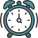 Alarm icon