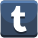 Tumblr icon