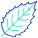 Holly Leaf icon