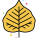 Bodhi Leaf icon