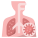 Bronchitis icon