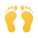 Footprint icon