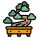 Bonsai icon