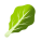 verde hoja icon