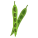 Green Beans icon