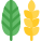 Decorative paddy leaf as a part of thanksgiving harvesting season icon