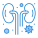 외부 신장-바이러스-전송-플랫 아티콘-블루-플랫 아티콘 icon