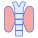 Thyroid icon