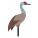 Crane Bird icon