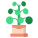 Pilea icon