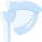 Shoulder Blade icon
