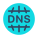 Dns icon