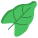 Leaf icon