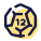 Dodecahedron icon