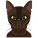 Gato icon