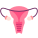 Ovary icon