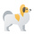 cachorro-borboleta icon