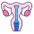 Uterus icon