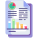 Data Report icon