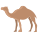 Camel icon